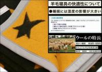 洗える メリノ ウール毛布 シングル 140x200cm 星柄 黒色x黄金色