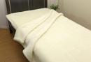 掛 シングル メリノ ウールマイヤー毛布 140x200cm 日本製 ホワイト